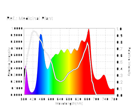 Spectral Rays Sun The Spectrum of the Sun